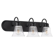 Campbell 3 Light Glass Vanity in Textured Black