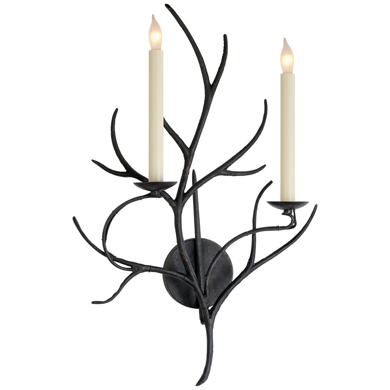 Branch 2-Light Wall Sconce in Aged Iron