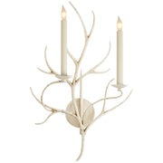 Branch Sconce Two Light Wall Sconce in Old White