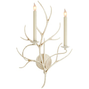 Branch 2-Light Wall Sconce in Old White