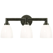 Wilton 3-Light Bath Vanity Light in Bronze