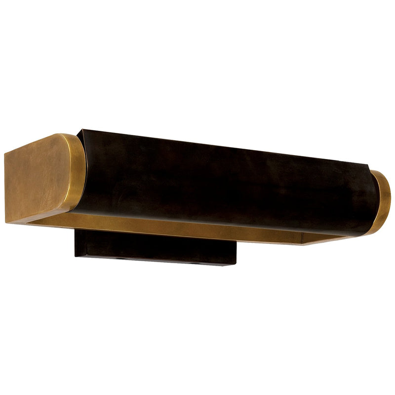 David 12" Art Picture Light in Hand-Rubbed Antique Brass and Bronze