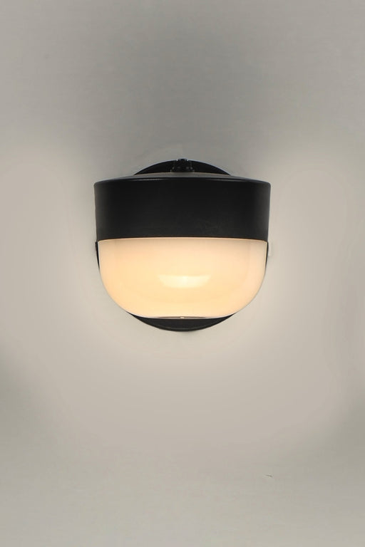 Michelle LED Outdoor Security Wall Sconce in Black