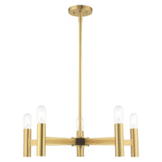 Copenhagen 5-Light Chandelier in Satin Brass with Bronze Accents