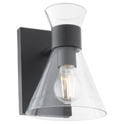 Beldar 1 Light Clear Glass Wall Sconce in Matte Black