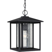 Hunnington Clear Seeded Outdoor Lantern Pendant in Black