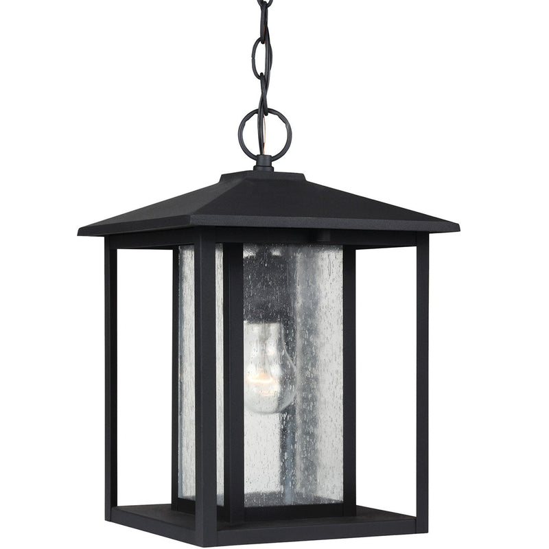 Hunnington Clear Seeded Outdoor Lantern Pendant in Black
