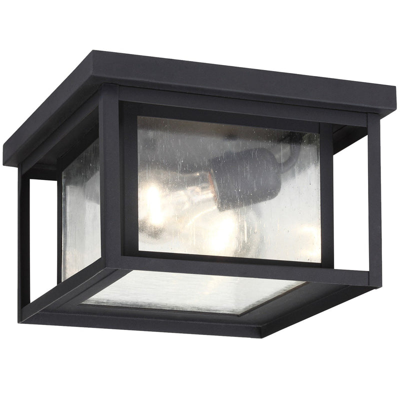 Hunnington 2-Light Clear Seeded Outdoor Flush Mount in Black