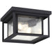 Hunnington Two Light Outdoor Flush Mount in Black