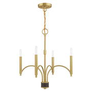 Wisteria 4-Light Chandelier in Satin Brass with Bronze Accents