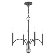 Wisteria 4-Light Chandelier in Scandinavian Gray with Brushed Nickel Accents