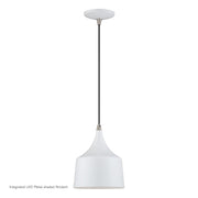 Bolita LED Pendant in White with Brushed Nickel Accents