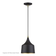 Bolita LED Pendant in Bronze with Antique Brass Accents