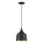 Bolita LED Pendant in Bronze with Antique Brass Accents