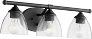 Brooks 3 Light Transitional Glass Vanity in Textured Black