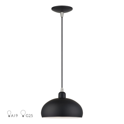 Domma 10" Pendant in Black with Brushed Nickel Accents