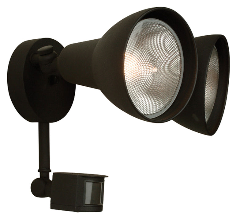 Bullets and Floods 2-Light Flood Light in Textured Matte Black