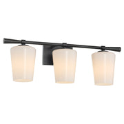 Goodwin 3 Light Vanity in Matte Black
