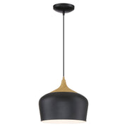 Blend Pendant in Black W/wood Grain