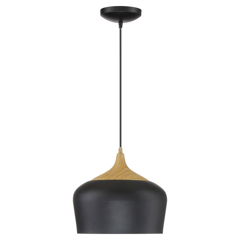 Blend Pendant in Black W/wood Grain