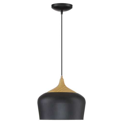 Blend Pendant in Black W/wood Grain
