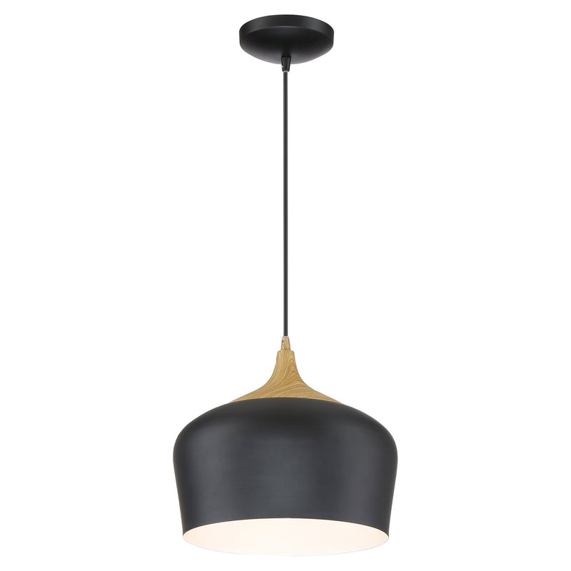 Blend Pendant in Black W/wood Grain
