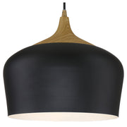 Blend Pendant in Black W/wood Grain