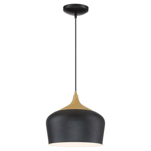 Blend Pendant in Black W/wood Grain