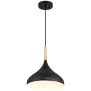 Olivia Pendant in Black