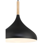 Olivia Pendant in Black