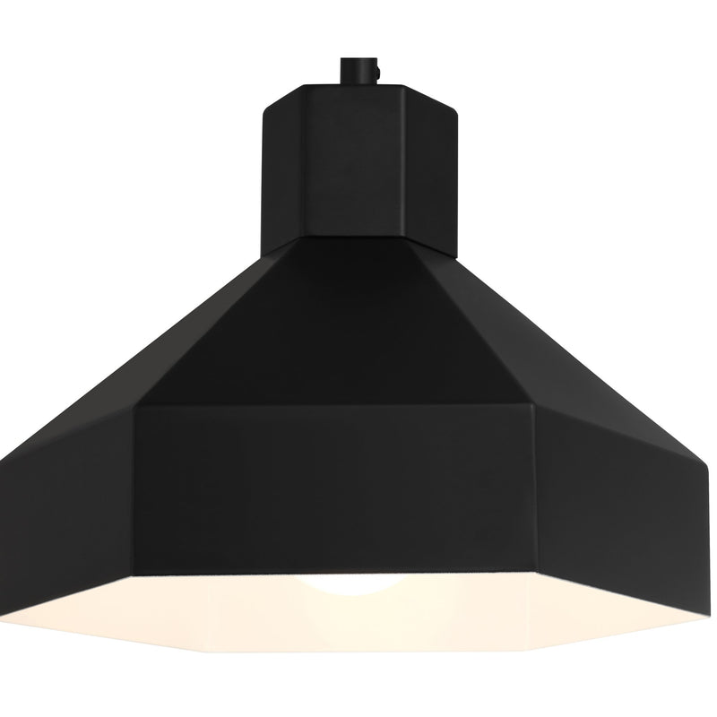 Poly Pendant in Matte Black