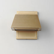 Mansard LED Outdoor Wall Sconce in Antique Brass