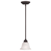 Essex 1 Light Mini Pendant in Bronze