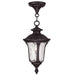 Oxford 1 Light Chain Lantern in Bronze