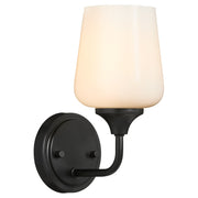 Raymond 1 Light Wall Mount in Matte Black