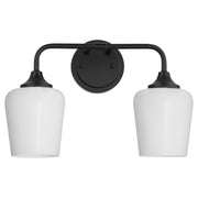 Raymond 2 Light Vanity with Opal Glass in Matte Black