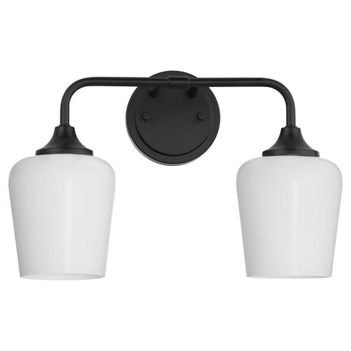 Raymond 2 Light Vanity with Opal Glass in Matte Black