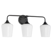 Raymond 3 Light Vanity with Opal Glass in Matte Black