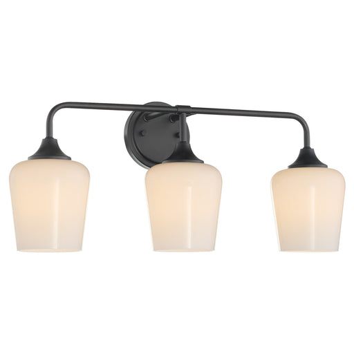 Raymond 3 Light Vanity with Opal Glass in Matte Black