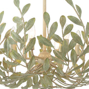 Broche 6 Light 27" Chandelier in Champagne Green Tea