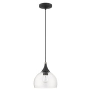 Glendon Glass Pendant in Black with Brushed Nickel Accents