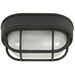 Bulkheads 1-Light Flushmount in Textured Matte Black