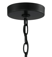 Collins 4 Light 23.75" Chandelier in Flat Black