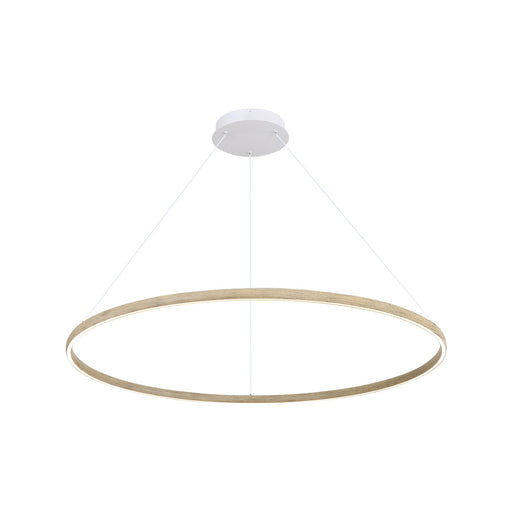 Veritas 59" Pendant in Driftwood