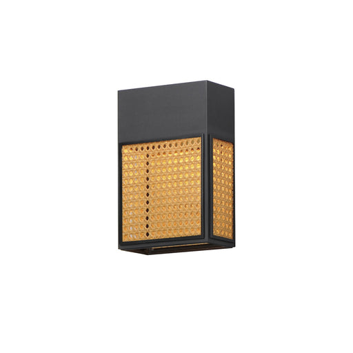 Lattice 12" Rattan LED Outdoor Wall Sconce in Black