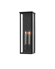 Tanzy Medium 2-Light Outdoor Wall Sconce in Midnight Black / Clear Seeded