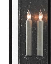 Tanzy Medium 2-Light Outdoor Wall Sconce in Midnight Black / Clear Seeded