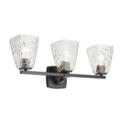 Marant 3-Light Bath Vanity Light in Black