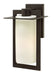 2924BZ - Colfax Medium Wall Mount Lantern in Bronze by Hinkley Lighting