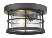 Exterior Additions 1 Light 10" Outdoor Flush Mount, Clear Seedy Shade in Black